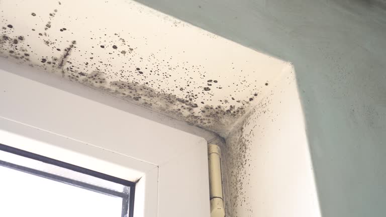 Best Residential Mold Inspection & Testing  in Kennesaw, GA